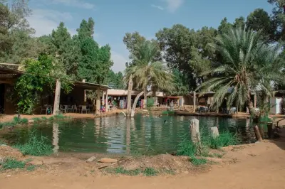 Ksar Ghilane et Tataouine : Baignade en oasis et ksours du désert