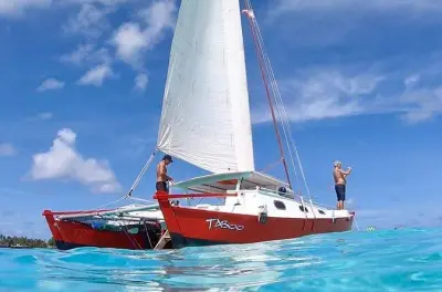 Snorkeling a Moorea: Catamarano privato con razze