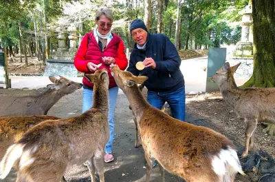 Nara Privater Rundgang: Todai-ji Tempel & Kasuga Taisha