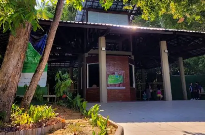Balade guidée en Amazonie depuis Manaus dans la forêt scientifique
