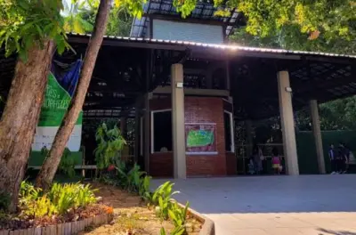 Foresta scientifica da Manaus: Passeggiata guidata nell’Amazzonia
