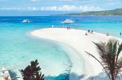 Nade com tubarões-baleia e visite Sumilon Sandbar em tour privado Cebu