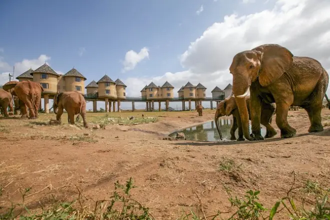 3-Day Tsavo East Safari: Red Elephants & Saltlick Lodge