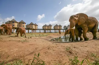 3-Day Tsavo East Safari: Red Elephants & Saltlick Lodge
