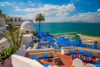 Tunis: Bardo-Museum, Karthago & Sidi Bou Said mit Guide