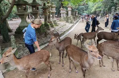 Nara UNESCO-Stätten & Hirschpark: 3-stündige geführte Tour