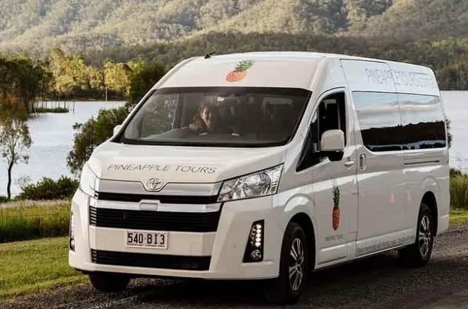 Degustazioni e pranzo nelle cantine di Mount Tamborine da Brisbane