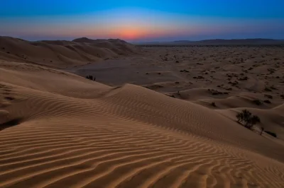 Experience the empty quarter desert on a 2-day tour from salalah. visit wadi dawkah, legendary ubar, ride dunes, enjoy omani bbq, and sleep under stars.