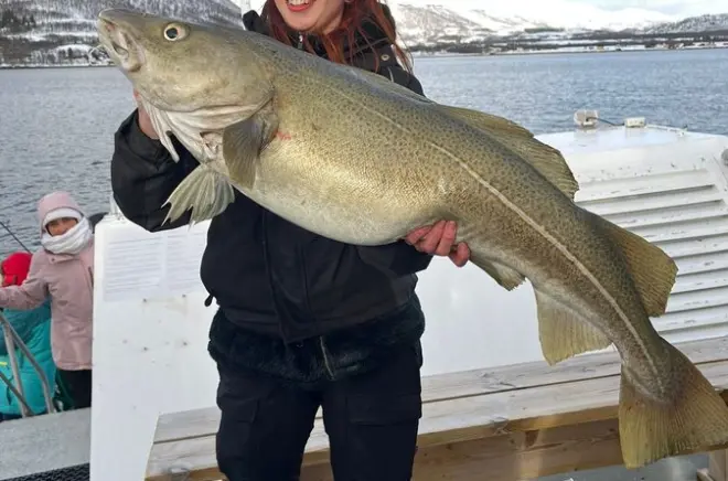 Polarfischen in Tromsø: Arktische Fische in den Fjorden fangen