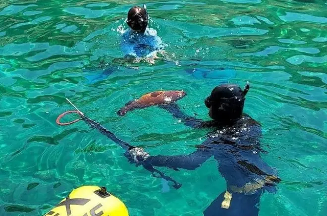 Speerfischen in Chania: Fang und Grill mit Freedive-Lehrer