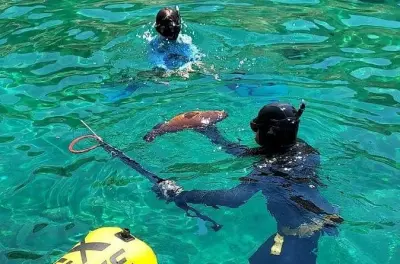 Chania: Pesca submarina y cocina con instructor de apnea