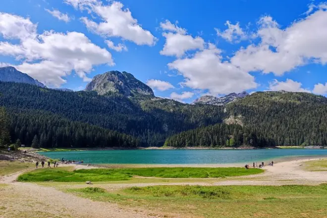 Lago Negro e cânion do Tara: Passeio de um dia saindo de Budva