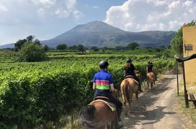 Reiten am Vesuv: Weinverkostung & Mittagessen