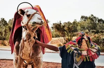 Tangier Full-Day Private Tour: Camel Ride & Cape Spartel