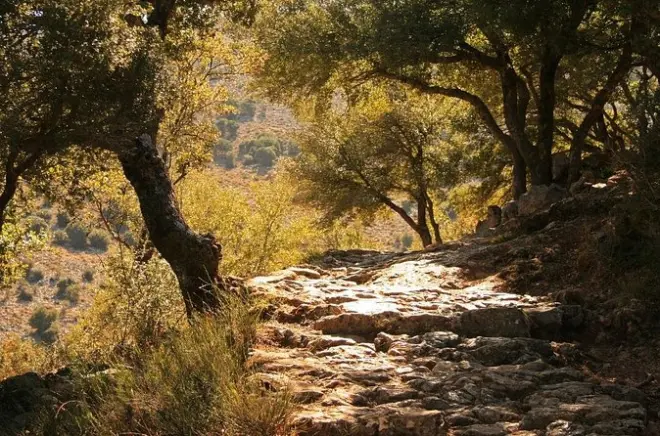 Knossos, Lasithi & Zeus-Höhle: 5 Stationen an einem Tag
