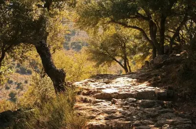 Knossos, Lasithi & Zeus-Höhle: 5 Stationen an einem Tag
