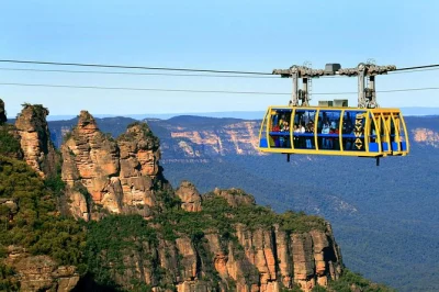 Respirez l’air frais d’eucalyptus dans les blue mountains, rencontrez koalas et kangourous, puis terminez votre journée privée par une croisière panoramique dans le port de sydney. prise en cha