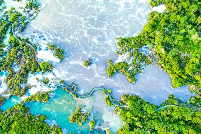 Explore whakarewarewa’s geothermal trails at your own pace. see steaming lakes, mud pools, and native bush. entry ticket included. book now.