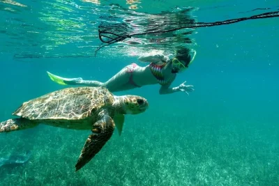 Nada con tiburones nodriza, tortugas marinas y rayas en silk y moho cayes. incluye equipo de snorkel, almuerzo en la isla preparado por los guías y bebidas embotelladas—reserva ya tu lugar.