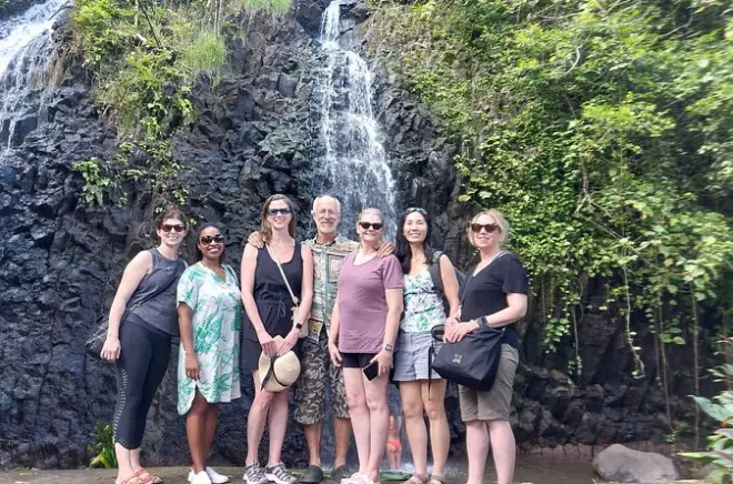 Tahiti tour privado de día completo: Cascadas y sitios culturales
