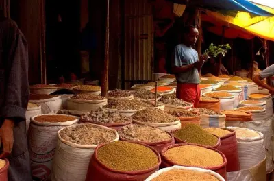Tour por Addis Ababa: Lucy, mercados y catedral en 4–6 horas