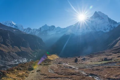 Annapurna base camp trek ab pokhara: in 5 tagen durch gurung-dörfer, bambuswälder und hochgebirgspfade. inklusive hotelabholung, guide & verpflegung.