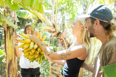 Explore maui, conheça a fazenda la kahea entre haleakala e west maui, prove frutas fresquinhas e interaja com animais em um tour guiado e descontraído.