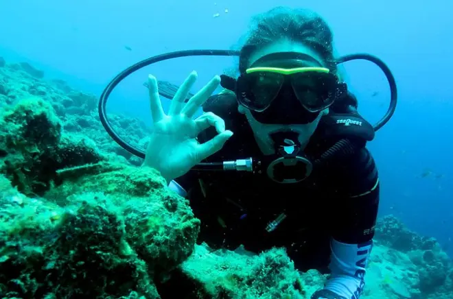 Formation PADI Open Water Diver 2 jours à Curaçao avec plongées récif