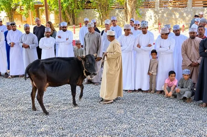 Tour de dia inteiro em Nizwa e Jebel Akhdar saindo de Muscat