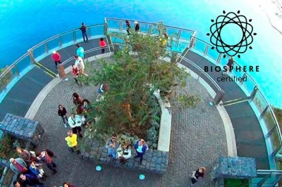Découvrez la brise de l’atlantique au cabo girão skywalk, explorez la vallée des nonnes en 4x4 décapotable et savourez les vins de madère. prise en charge à funchal avec guide local.