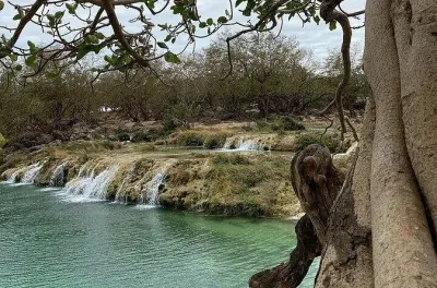 Half-Day Private Salalah East Tour: Wadi Darbat & Taqah