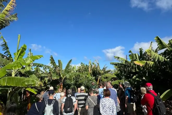 Museo de la banana, ron y vino: Degustaciones en Gran Canaria