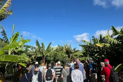 Museu da Banana, Rum e Vinho: Degustações em Gran Canaria