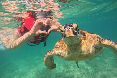 Swim with turtles in mirissa, sri lanka’s south coast. includes snorkeling gear, local guide, snacks, and hotel pickup. dive into clear waters for a real sea adventure.