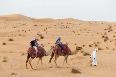 Découvrez le désert de dubaï à dos de chameau, admirez un spectacle de faucons au coucher du soleil et savourez un dîner émirati au cœur des dunes, avec transfert hôtel et activités culturell