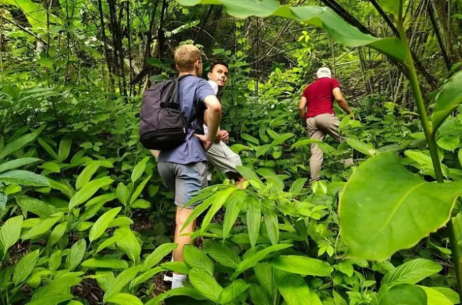 Chiang Rai jungle trek with bamboo cooking and hot spring soak