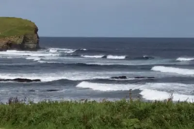 Neolithische Orkney-Tour: Skara Brae, Steinkreise & Führung