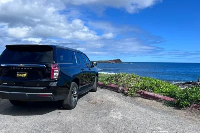 Scopri oahu in un giorno: vista da nu‘uanu pali, assaggia le macadamia e esplora la north shore con guida locale e pickup incluso.