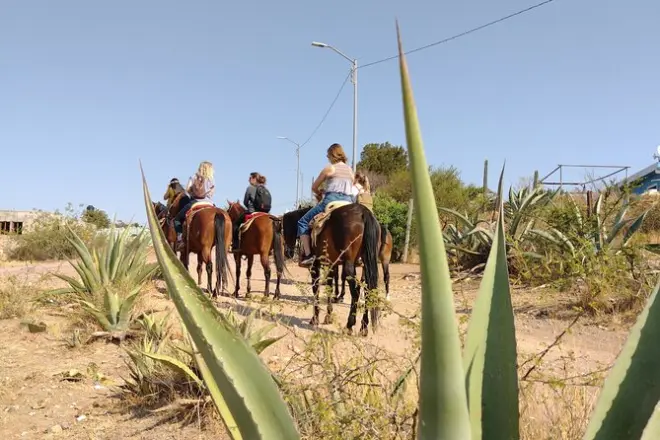 Reitausflug durch die Bergbaustädte von Guanajuato: Private Tour
