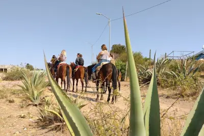 Cavalgada pelas cidades mineiras de Guanajuato: Tour privado