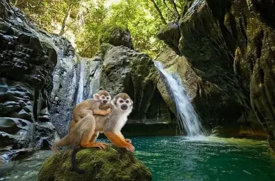 Chutes de Damajagua et singes écureuils : Combo Puerto Plata