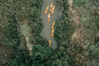 Kayaking Thousand Islands Mangrove Tunnels Small Group Manatees