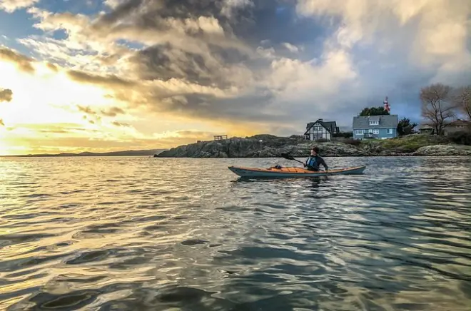 Victoria Harbour Kayaking: Sunset Paddle with Wildlife