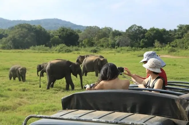 Sri Lanka em 3 dias: Sigiriya, templos e elefantes desde Colombo