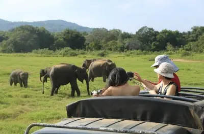Sri Lanka em 3 dias: Sigiriya, templos e elefantes desde Colombo