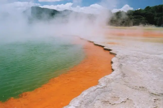 Wai-O-Tapu thermal wonderland desde Tauranga: Guía privado