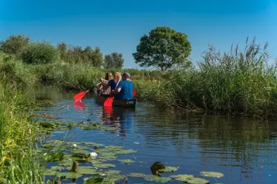 Canoe tour near Amsterdam: Paddle into Waterland nature reserve