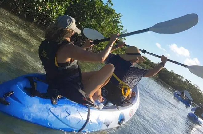 Kayak à Providenciales : Mangroves et vie marine