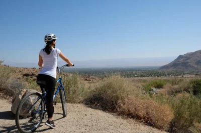 Entdecke palm springs bei einer radtour zu den indian canyons, genieße eine geführte wanderung durch die palmenoase und gönn dir ein feines eis bei kreem. inklusive räder, snacks und guide.