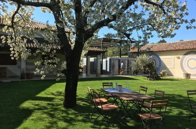 Motovun wine, truffle & olive oil tasting tour: 10 hours